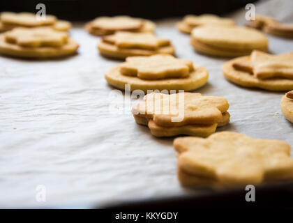 Una serie di biscotti di Natale e biscotti cotti su carta da forno con uno sfondo sfocato Foto Stock