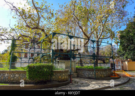 La struttura ad albero di Ippocrate sull'isola greca di Kos Foto Stock