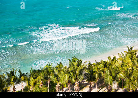 Una bellissima spiaggia caraibica con tanto di palme e onde alte visto da un alto punto di osservazione. Galley Bay, Antigua. Foto Stock