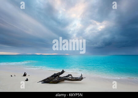 Nuvole temporalesche a ffryes beach in antigua con driftwood nella sabbia. Foto Stock