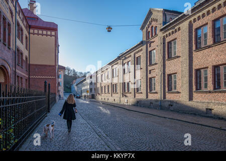 La gente passeggia per le strade di Haga a Goteborg. Haga è una storica zona residenziale, diventata alla moda e popolare tra i turisti. Foto Stock