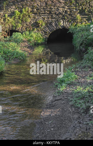 Piccolo centro rurale ponte pietra inarcamento sopra un piccolo, chiaro-esecuzione di flusso. Flusso di acque dolci, le fonti di acqua di sorgente e acqua di concetti. Foto Stock