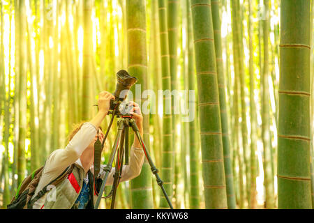 Prendere-dera fotografo di bambù Foto Stock