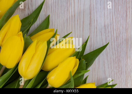 Bel giallo tullips sopra la parte superiore su sfondo lucido Foto Stock