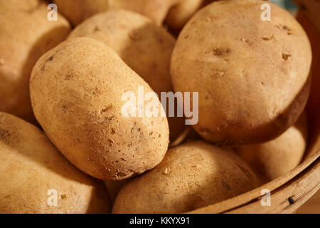 Tutto fresche, materie patate bianche da Lancaster County, Pennsylvania, Stati Uniti d'America Foto Stock