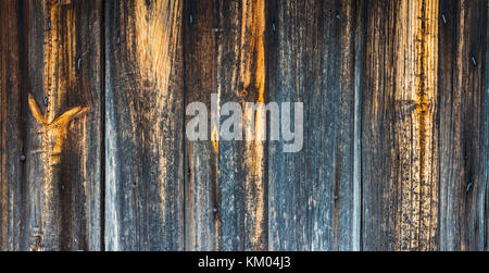 Distintivo texture di legno dal vecchio sbiadito plance. indossato rurale di fondo con strisce verticali di dark weathered schede con nodi e chiodi. Foto Stock