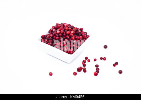 Isolato su sfondo bianco Lingonberry. Bacche rosse in piastra bianca. Foto Stock