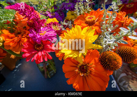 Mazzi di fiori di flaowers per la vendita in un mercato degli agricoltori nel Maryland, Stati Uniti d'America Foto Stock