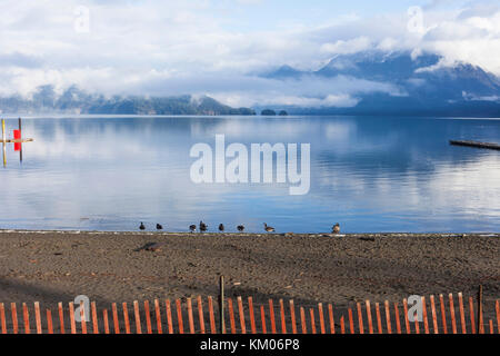 Riflessioni sul lago Harrison. Harrison Hot Springs, BC Canada Foto Stock