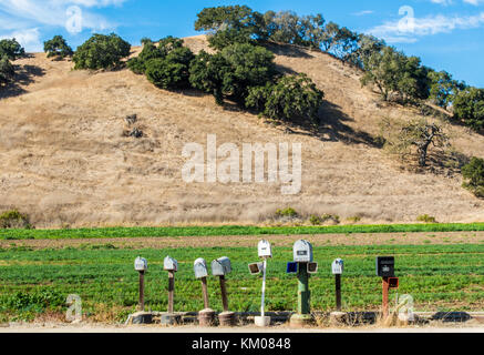 Fila di cassette postali isolata nei pressi di un campo e colline Foto Stock