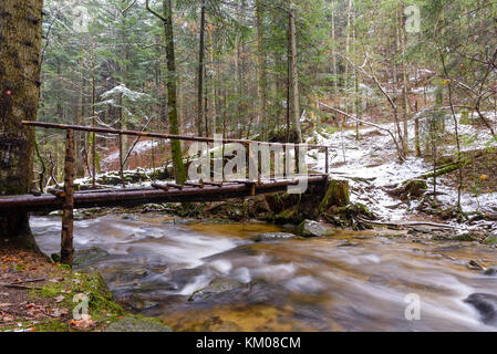 Grande tronco caduto di abete rosso, Abete nel bosco, fiume di montagna, stream, creek con rapide nel tardo autunno, inizio inverno con neve, gola gorge, Slovenia Foto Stock