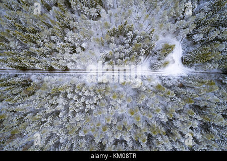 Vista aerea della foresta boreale e registro strada in inverno con neve fresca che copre gli alberi e la terra in Kurjenrahka National Park, Finlandia Foto Stock