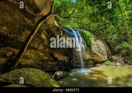 Serenità cade e un foro di nuoto in buderim Forest park, Sunshine Coast, Queensland, Australia Foto Stock