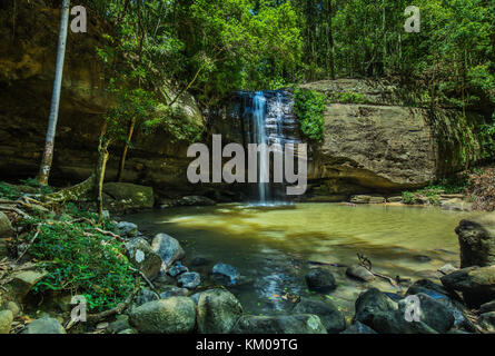 Serenità cade e un foro di nuoto in buderim Forest park, Sunshine Coast, Queensland, Australia Foto Stock