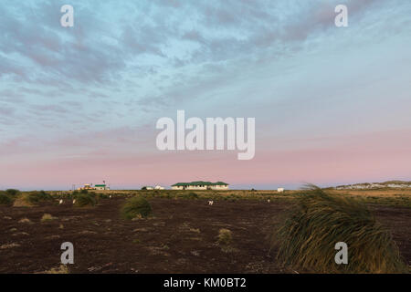 Sea Lion Lodge on Sea Lion Island, Isole Falkland Foto Stock