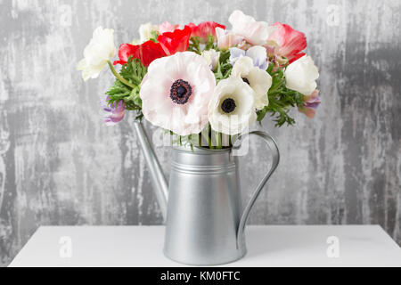 Fiori invernali. anemoni in un vaso annaffiatoio in piedi su un tavolo di legno. Sullo sfondo il vecchio muro grigio art. spazio copia Foto Stock
