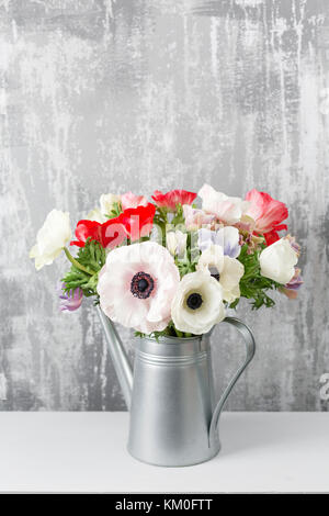 Fiori invernali. anemoni in un vaso annaffiatoio in piedi su un tavolo di legno. Sullo sfondo il vecchio muro grigio art. spazio copia Foto Stock