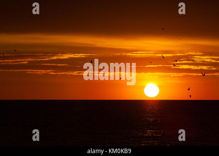 Un tramonto con un grande sole, cielo arancione e uccelli profilarsi nel cielo Foto Stock