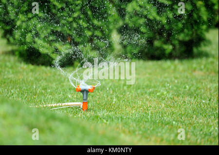 Sprinkler giardino lavorando su un verde prato Foto Stock