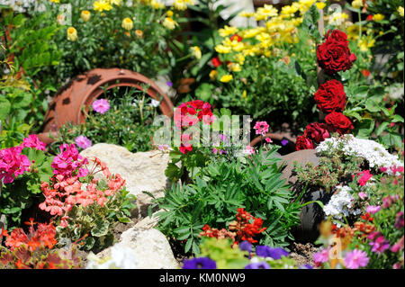 Paesaggio lussureggiante giardino con letto di fiori e piante colorate Foto Stock