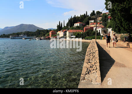 Summer View su Kolocep isola, una delle isole Elafiti vicino Dubrovnik, costa dalmata, Mare Adriatico, Croazia, Europa Foto Stock