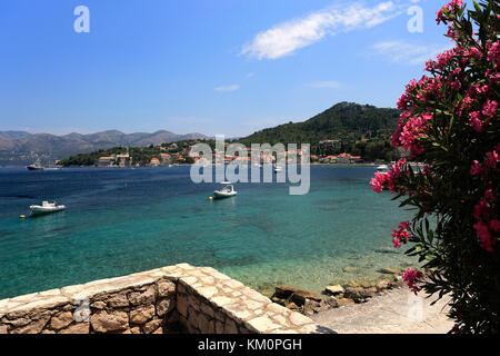 Vista estiva della spiaggia di Isola di Lopud, una delle isole Elafiti vicino Dubrovnik, costa dalmata, Mare Adriatico, Croazia, Europa Foto Stock