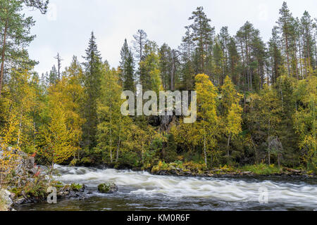 Cliff, muro di pietra, foresta, cascata e il fiume selvaggio vista in autunno. I colori dell'autunno - ruska tempo in Myllykoski. Una parte di Karhunkierros Trail. Oulanka Foto Stock