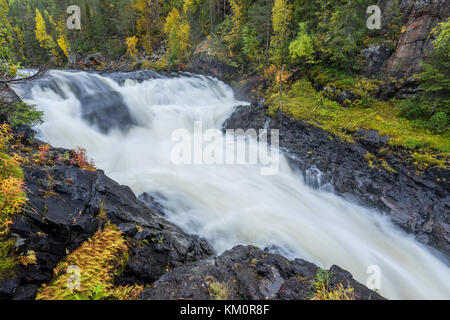 Cliff, muro di pietra, foresta, cascata e il fiume selvaggio vista in autunno. I colori dell'autunno - ruska tempo in Myllykoski. Una parte di Karhunkierros Trail. Oulanka Foto Stock