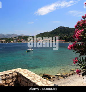 Vista estiva della spiaggia di Isola di Lopud, una delle isole Elafiti vicino Dubrovnik, costa dalmata, Mare Adriatico, Croazia, Europa Foto Stock