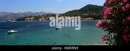 Vista estiva della spiaggia di Isola di Lopud, una delle isole Elafiti vicino Dubrovnik, costa dalmata, Mare Adriatico, Croazia, Europa Foto Stock