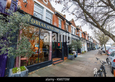 Tobiolo e l'angelo negozio di fronte a Barnes, SW13, un affluente sobborgo di Londra, Inghilterra, Regno Unito Foto Stock