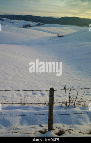 Neve sull'Altopiano di Asiago, Vicenza, Veneto, Italia Foto Stock