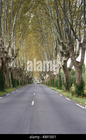 Una strada di campagna con bianca tratteggiata la linea centrale che è allineato con il piano di alberi che mostra i colori autunnali. un singolo veicolo è sulla strada. Foto Stock