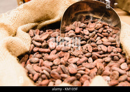 Un sacco di Hesse contenenti materie le fave di cacao prima di torrefazione. Foto Stock