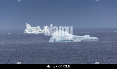 Grandi iceberg nello stretto di Belle Isle, al largo di Terranova. Foto Stock