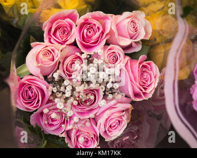 Bouquet di rose rosa Foto Stock