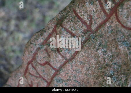 Viking runestone closeup Foto Stock