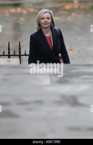 Londra, Regno Unito. 28 novembre, 2017. Primo segretario al tesoro liz truss assiste il cabinet settimanale incontro a Downing Street, Londra Foto Stock