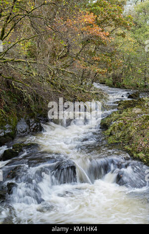 Fiume scozzese in Dumfries and Galloway campagna d'autunno. Wanlockhead, Dumfries and Galloway, Scottish Borders, Scozia Foto Stock