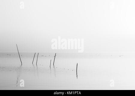 Un molto minimalista vista di un lago all'alba, con luce tenue e di toni, reti da pesca e pali in primo piano Foto Stock