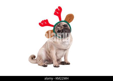 Natale divertente pug cucciolo di cane seduto, indossando le renne palchi diadema, isolati su sfondo bianco Foto Stock