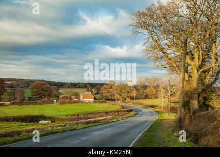 Pomeriggio autunnale nel west sussex campagna, Inghilterra. Foto Stock