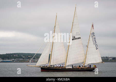 Bermuda sloop "acquavite di Bermuda". Foto Stock