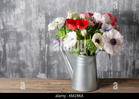 Fiori invernali. anemoni in un vaso annaffiatoio in piedi su un tavolo di legno. Sullo sfondo il vecchio muro grigio art. spazio copia Foto Stock