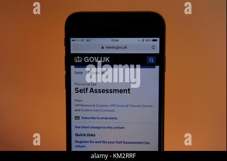 La self assessment sezione sull'HM Revenue e sito web doganale Foto Stock