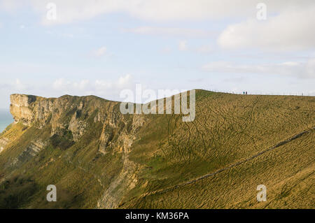 Gad Cliff, Isola di Purbeck, Dorset Foto Stock