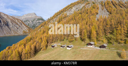 Piccolo villaggio di capanne, il bosco e i prati, stagione autunnale. Ottobre a Livigno (Valtellina) Foto Stock