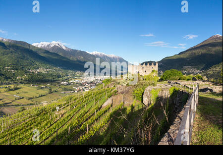 Castello di Grumello e vigneti in Valtellina - Provincia di Sondrio Foto Stock