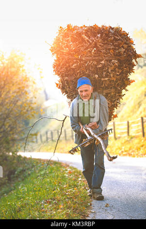 SERINA, Italia - 11 Novembre 2017: Agricoltore con un frondoso basketel sta tornando dal lavoro in montagna Foto Stock