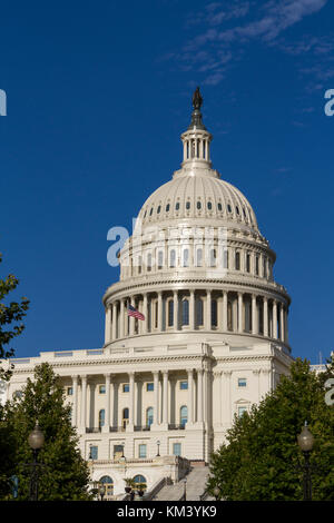 La cupola del Campidoglio degli Stati Uniti, spesso chiamato il Capitol Building, Washington DC, Stati Uniti d'America. Foto Stock